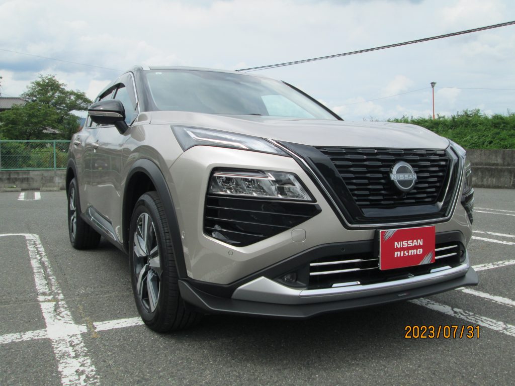 超希少良品 トライレイヤード ニューポート サテンメッキ仕上げ Tel3シルバー 1-1024x768.jpg